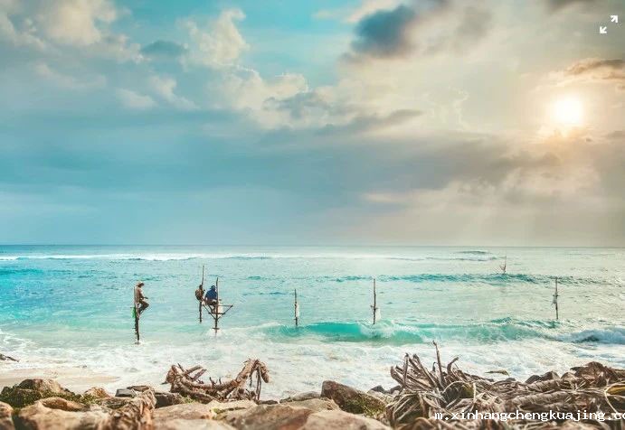 Wild Coast Tented Lodge帐篷营地 深圳世界杯直播平台网站官网膜结构公司