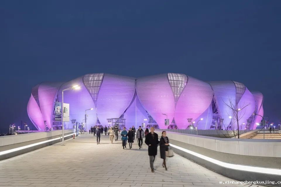 杭州奥林匹克体育中心膜结构 杭州奥林匹克体育中心膜结构