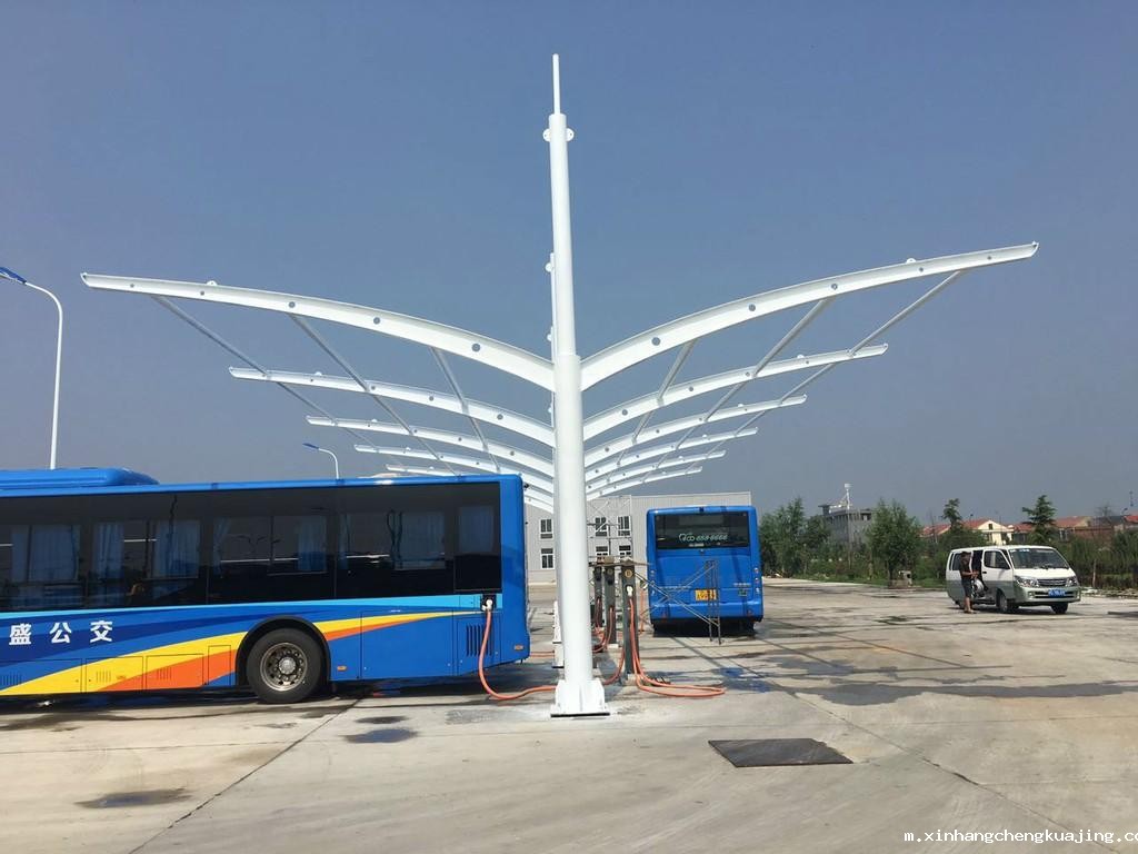 1616486859862870.jpg 1616486859862870.jpg