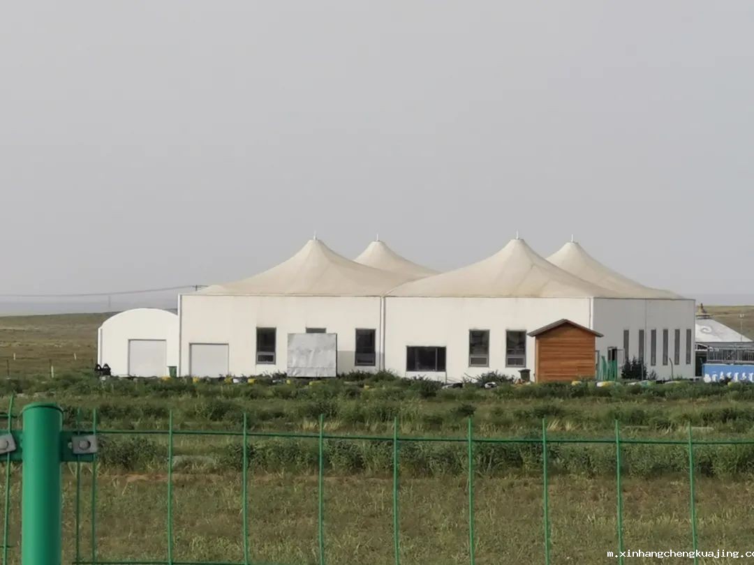 1616748346985687.jpeg 1616748346985687.jpeg