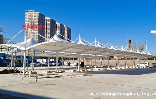 汽车遮阳棚 汽车遮阳棚