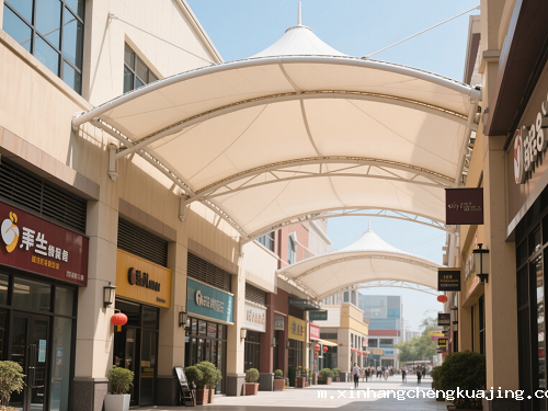 商业街膜结构遮雨棚 商业街膜结构遮雨棚