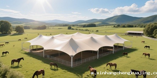 马场顶棚膜结构 马场顶棚膜结构
