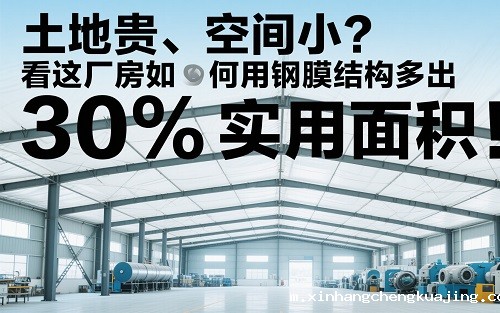 钢膜结构厂房 钢膜结构厂房
