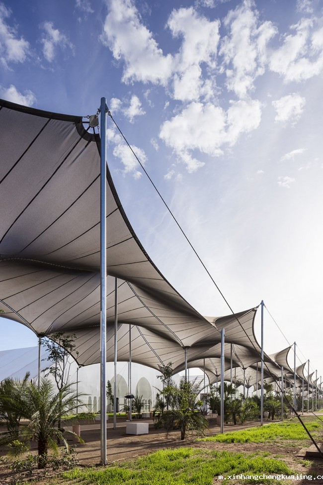 景观膜结构棚 世界杯直播平台网站官网景观膜结构.jpg