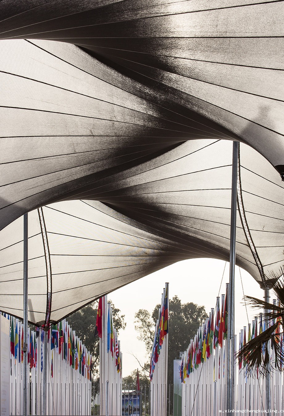 景观膜结构棚 世界杯直播平台网站官网景观膜结构.jpg