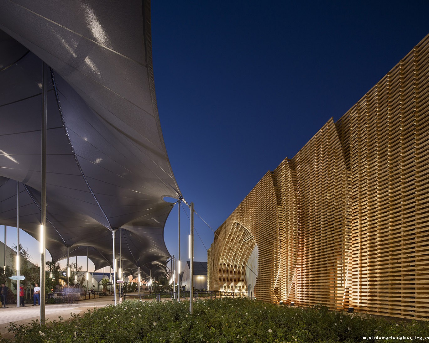 景观膜结构棚 世界杯直播平台网站官网景观膜结构.jpg