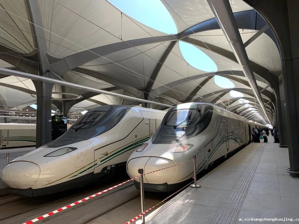 哈拉曼高铁站台 世界杯直播平台网站官网膜结构.jpg