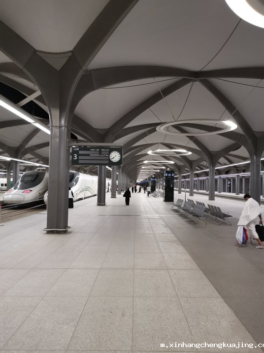 哈拉曼高铁站台 世界杯直播平台网站官网膜结构.png