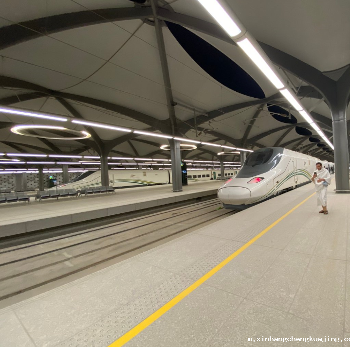 哈拉曼高铁站台 世界杯直播平台网站官网膜结构.png