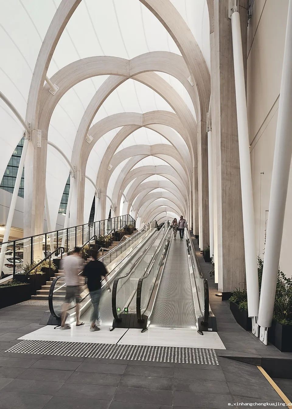 The Link创意走廊膜结构 深圳世界杯直播平台网站官网膜结构建筑走廊