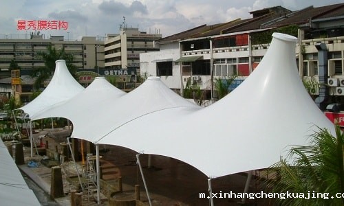 张拉膜建筑 张拉膜建筑