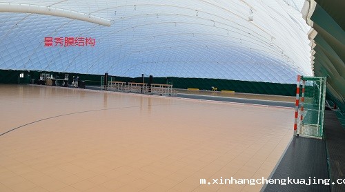 充气式运动场 充气式运动场