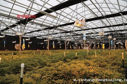 探索啤酒大棚采用膜结构设计 探索啤酒大棚采用膜结构设计