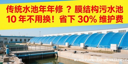 1747991844607793.jpg 1747991785396.jpg