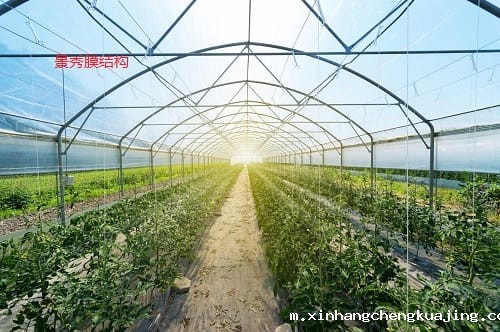 异形气膜大棚