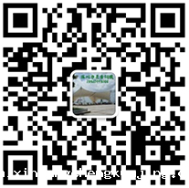 世界杯直播平台网站官网膜结构