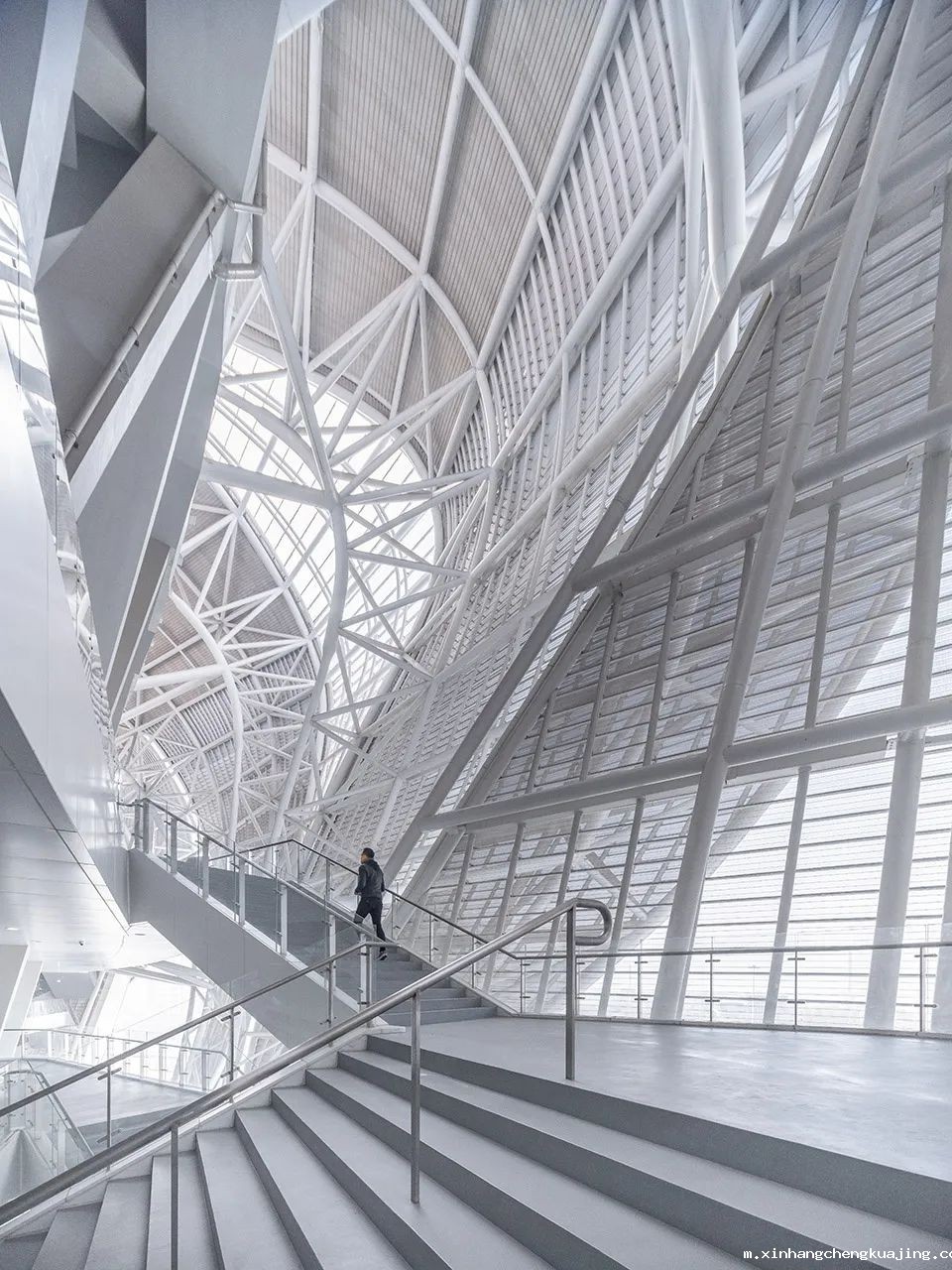 杭州奥林匹克体育中心膜结构 杭州奥林匹克体育中心膜结构