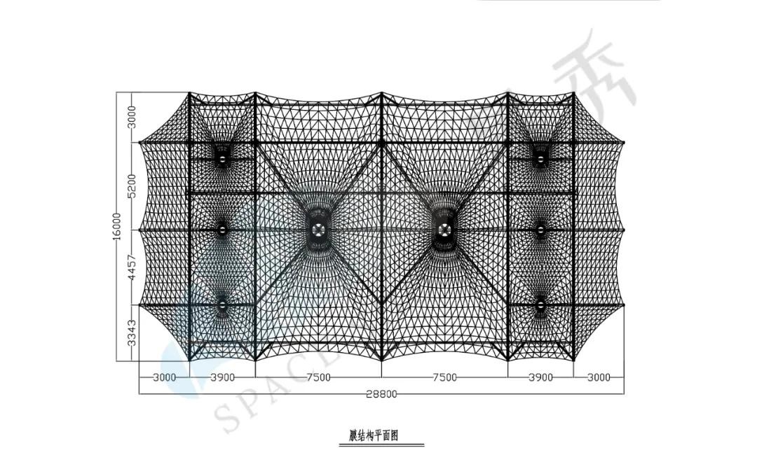 膜结构看台 膜结构看台