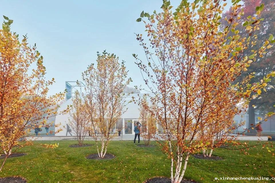 膜结构建筑 膜结构建筑