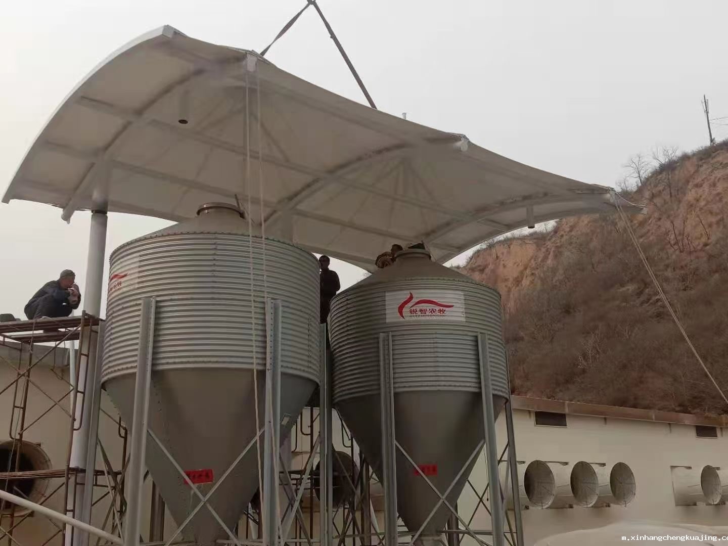 膜结构雨棚 膜结构雨棚