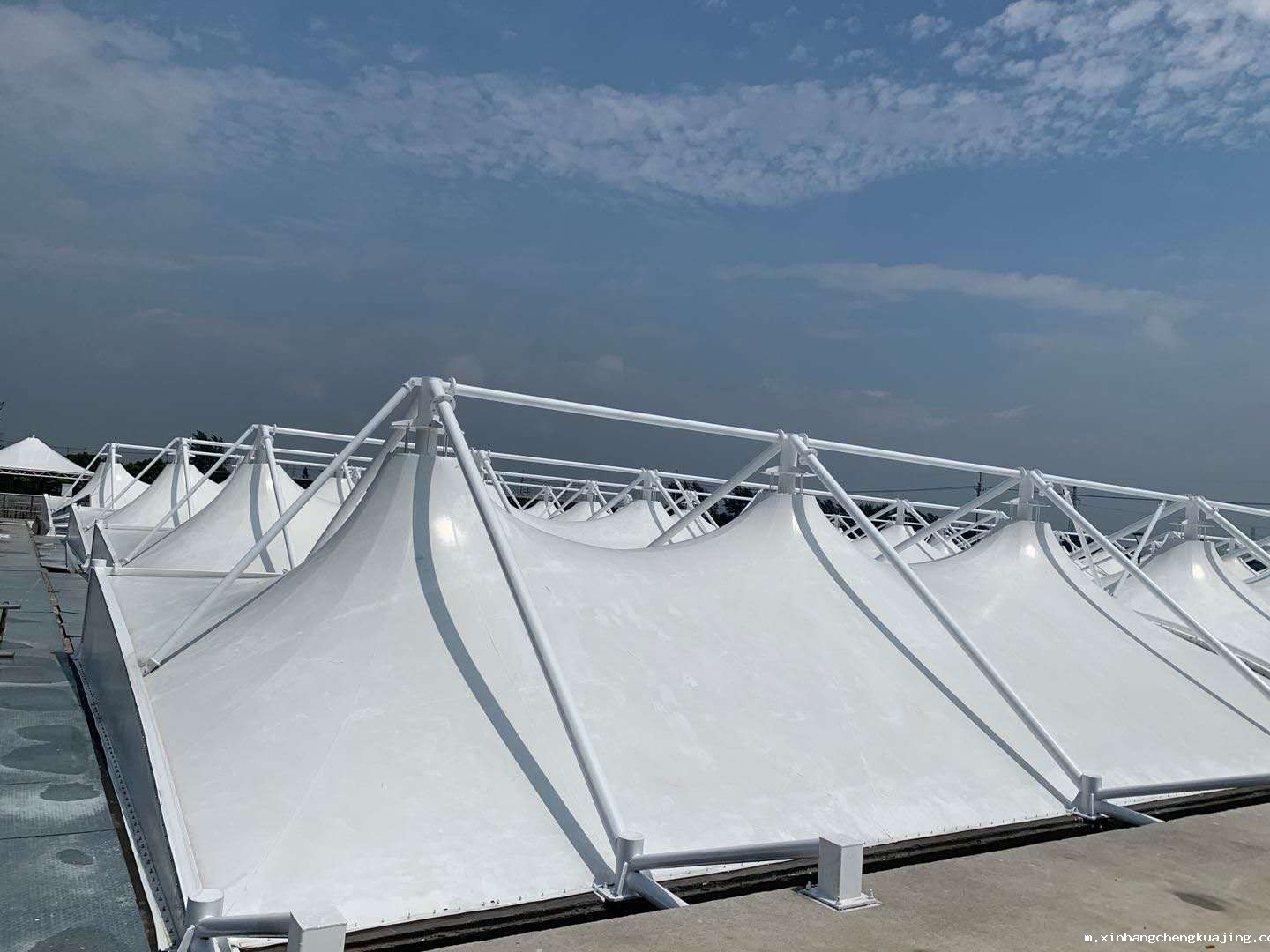 1652344702717651.jpg 1652344702717651.jpg