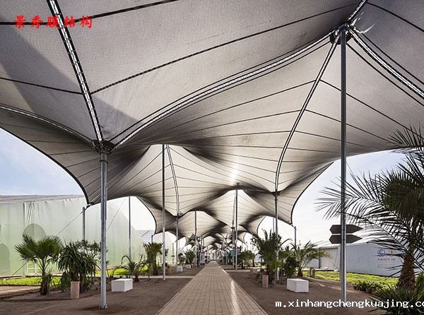 膜结构大棚 膜结构大棚