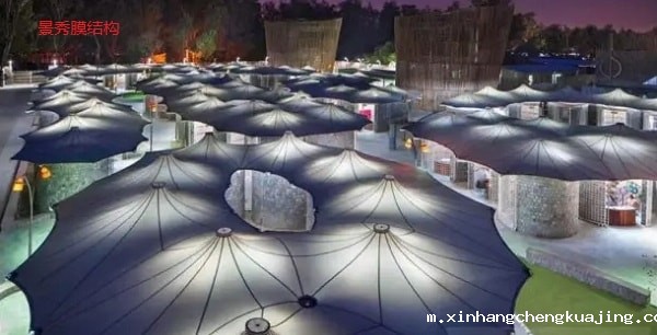 张膜结构雨棚厂家 张膜结构雨棚厂家