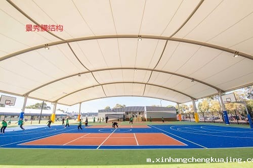 1680764879431621.jpg All-Weather Sports Canopy.jpg