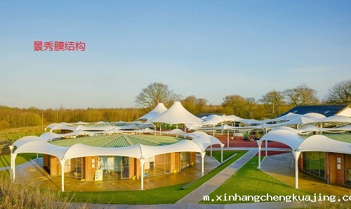 1701678180537979.jpg 61155-8225784.jpg