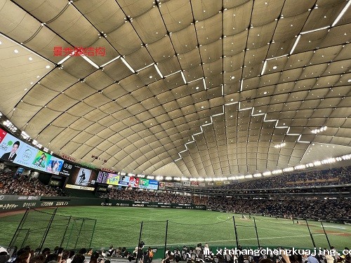 体育馆膜结构顶棚 体育馆膜结构顶棚