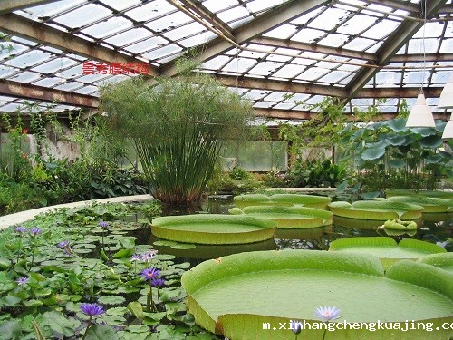 温室大棚 温室大棚