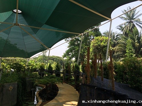 植物园膜结构 植物园膜结构