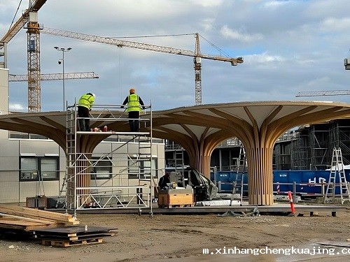 景观亭膜结构 景观亭膜结构