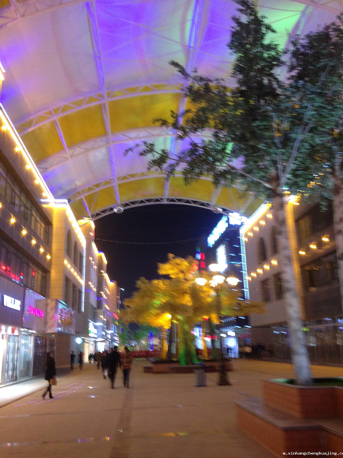膜结构夜景