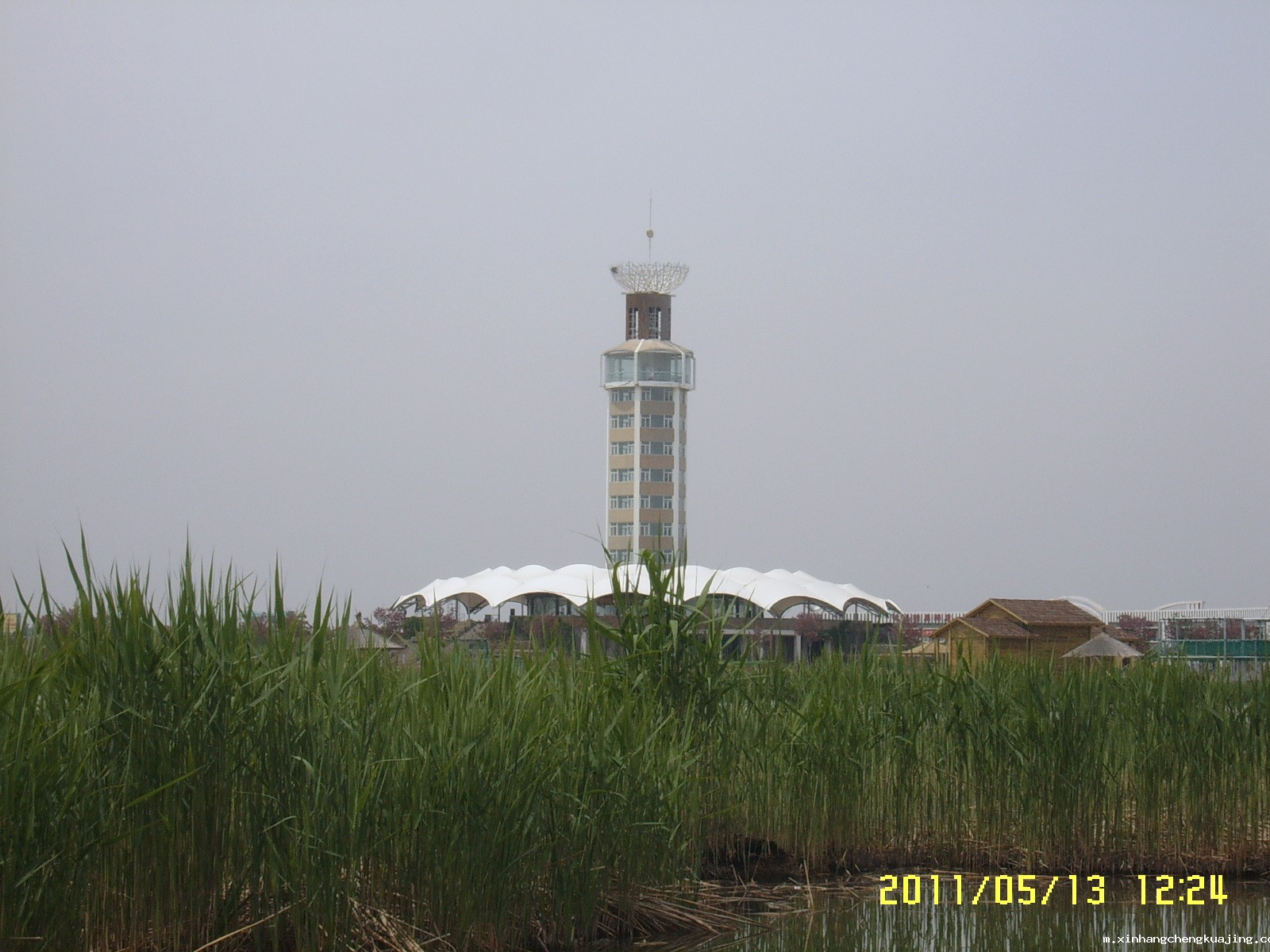 SUC51017.JPG