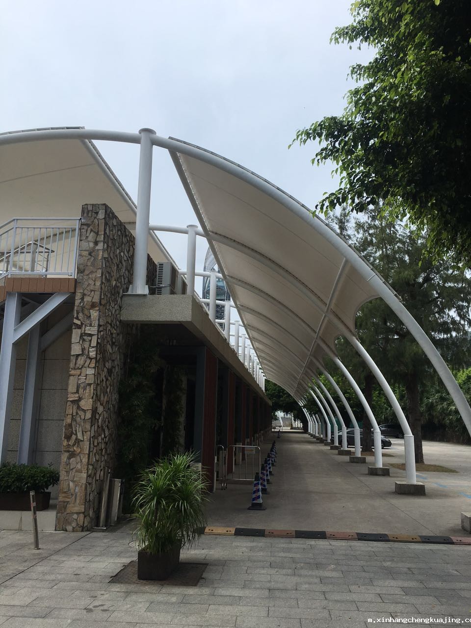 世界杯直播平台网站官网膜结构