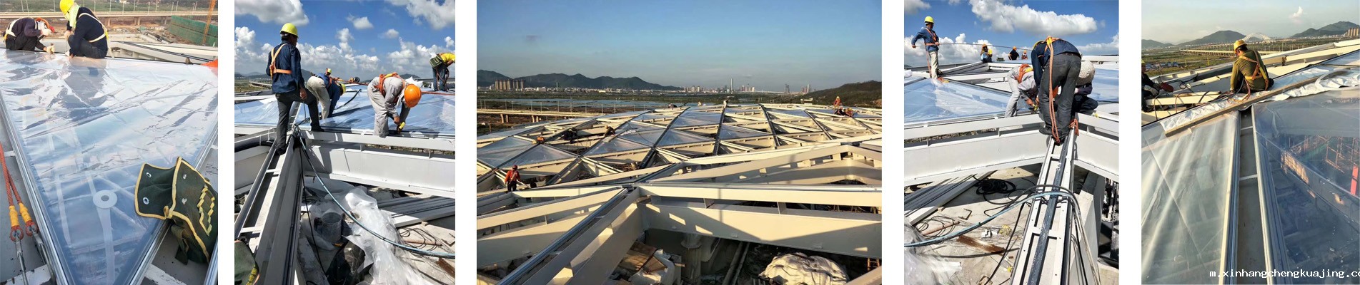 世界杯直播平台网站官网膜结构