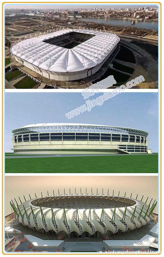 世界杯直播平台网站官网膜结构