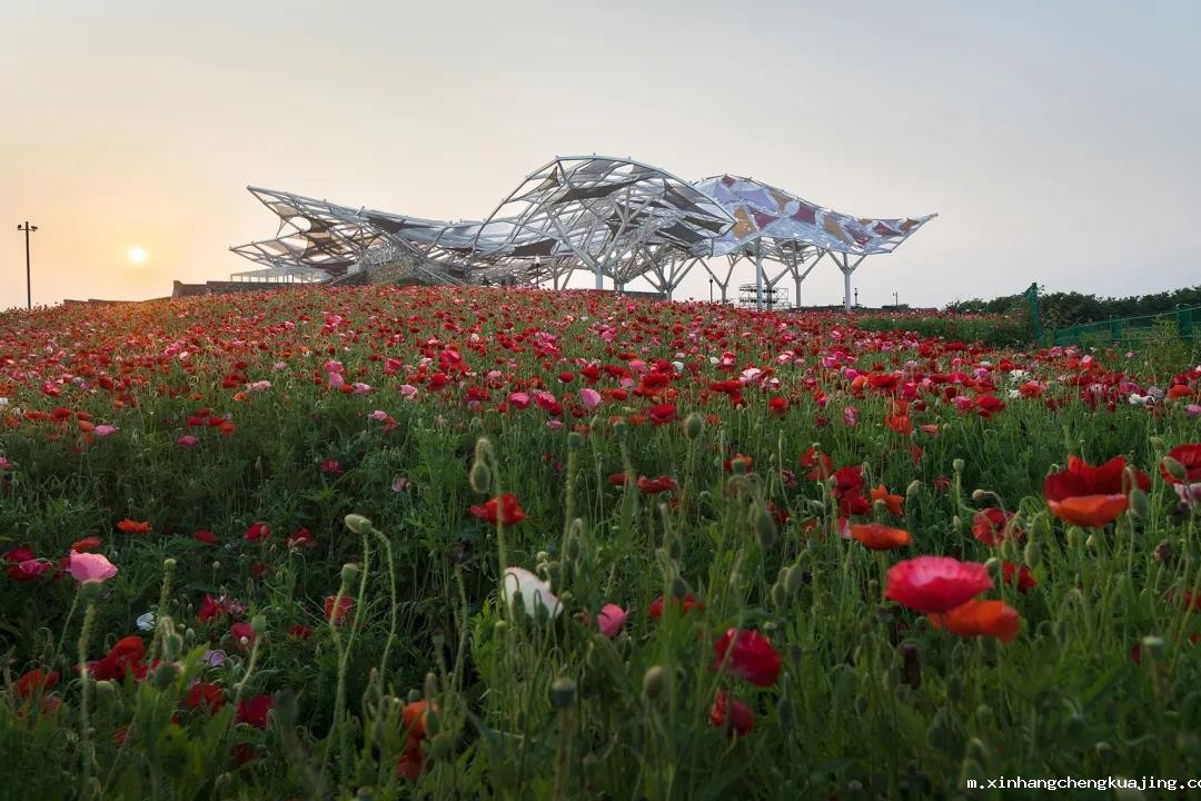 世界杯直播平台网站官网剧场膜结构建筑