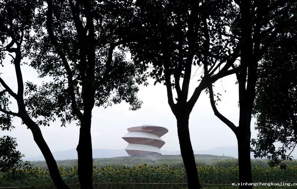 深圳世界杯直播平台网站官网膜结构建筑公司