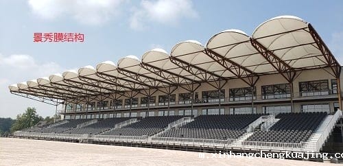 膜结构看台