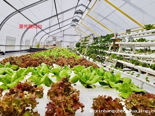 膜结构在农业和园艺中的种植和养殖