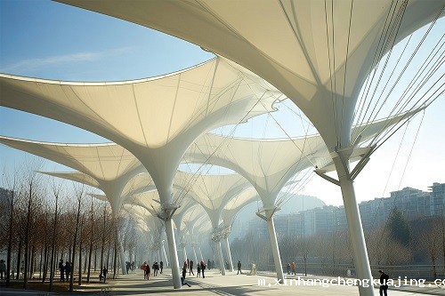 景观膜结构雨棚定做