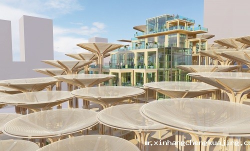 景观新型膜结构